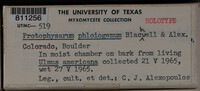 Image Associated With the Occurence